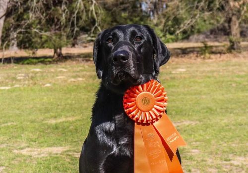 432427840_992093962343429_785217150035584505_n