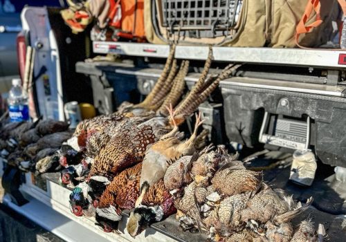 448403208_984353399804048_6837548513671947513_n