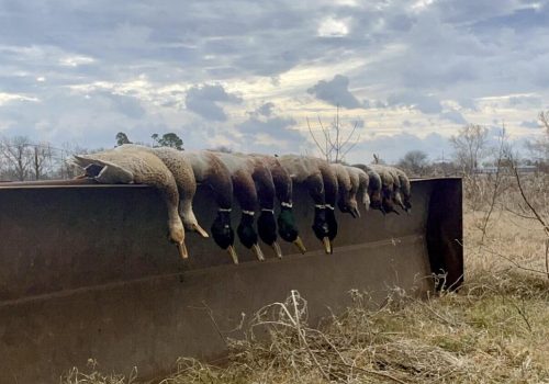 448777412_323985493981167_349057696209885082_n