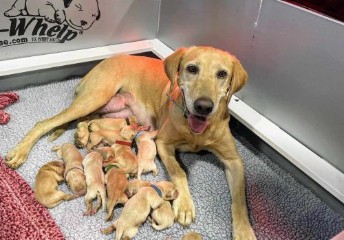 476485625_2441464622870140_3465192785725050865_n